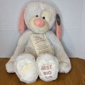 DEMDACO BIG SISTER BEST BIG SIS Plush Dog 16" NWT Pink Cream White Baby Gift